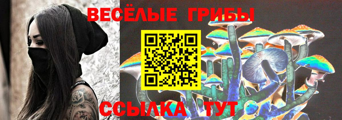 Галлюциногенные грибы Psilocybe Кашира