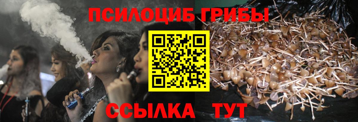 Псилоцибиновые грибы MAGIC MUSHROOMS  Галлюциногенные грибы Magic Shrooms  Кашира  Вход с VPN 